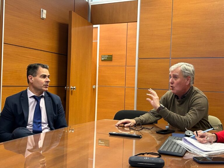 NUEVA INSTANCIA DE TRABAJO DE LA RED FEDERAL PARA LA AUDITORÍA DEL PROGRAMA FONADIS